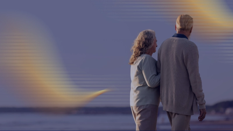 article State Pension (AOW)